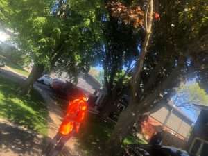 Arborist in mask talking with client outdoors arborist COVID safety