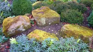 Landscaped garden what do landscapers do garden with rocks and plants