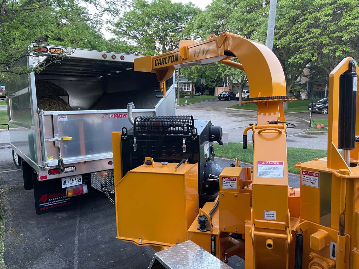 Tree Pruning and Tree Trimming in Toronto